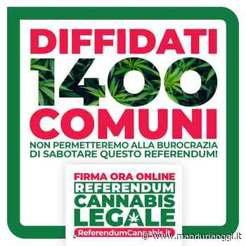 MANDURIA - Anche Manduria fra i 1.400 comuni italiani diffidati perché 'gravemente inadempienti' nella raccolta di firme per il referendum sulla cannabis - ManduriaOggi