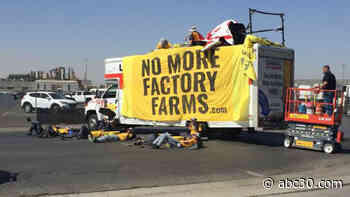 Protest outside of Livingston Foster Farms blocking access to facility