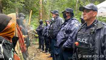 B.C. judge denies extension of injunction against old-growth logging protests at Fairy Creek