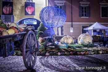 Zucca in piazza, a Piozzo (Cuneo) nel weekend i produttori locali con le zucche e prodotti tipici - TorinOggi.it