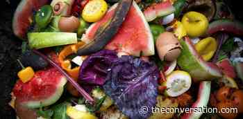 Want to reduce your food waste at home? Here are the 6 best evidence-based ways to do it - The Conversation AU