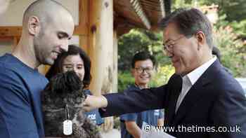 The Times view on canines as food: Dog's Dinner - The Times
