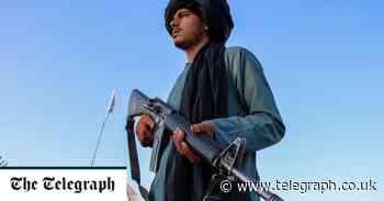 ‘People are going to die very soon’: food scarcity in Afghanistan as economic free fall intensfies - Telegraph.co.uk
