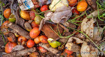 Food waste: a global problem that undermines healthy diets - UN News