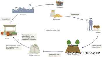 Rapid delivery systems for future food security - Nature.com