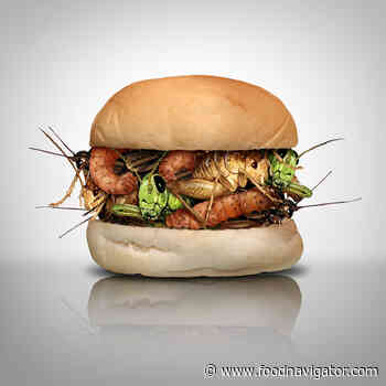 Edible insects 'more sustainable as food rather than animal feed' - FoodNavigator.com