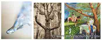 Morris Arts 'The Color of Life' Opens at the Atrium Gallery Thursday - morriscountynj.gov