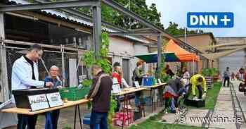 Marktschwärmer Dresden: Click und Collect trifft Bauernmarkt in Pieschen - Dresdner Neueste Nachrichten