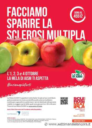 Acqui: La mela di Aism - L'Ancora