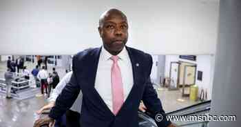 To defend legislative failure, Tim Scott condemns an idea he endorsed - MSNBC