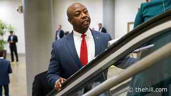 Tim Scott says police reform talks collapsed with Dems over funding | TheHill - The Hill