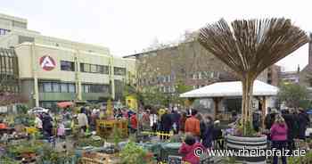 Urban Farming: Zurück zur Natur - Mannheim - DIE RHEINPFALZ - Rheinpfalz.de