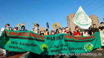 Fotostrecke: Über 4000 bei Klimastreik in Mannheim - Neckarstadtblog