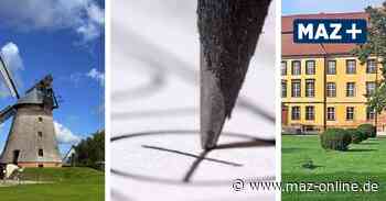 Bundestagswahl: So haben Märkische Heide und das Amt Lieberose/Oberspreewald im Wahlkreis 62 gewählt - Märkische Allgemeine Zeitung