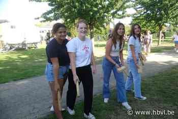 KSA-jongeren smijten zich in Kubb-toernooi (Alken) - Het Belang van Limburg Mobile - Het Belang van Limburg