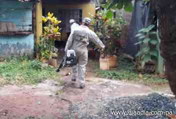 Detectan un caso de chikungunya en Los Santos - Día a Día