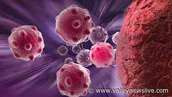 Minnesota Coronavirus cases top 700K - Valley News Live