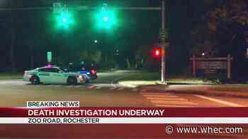 Rochester Police investigating death along Zoo Road