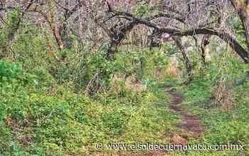 Parque Los Venados en Jiutepec, en el olvido - El Sol de Cuernavaca