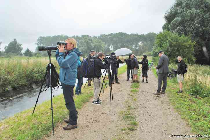 Nieuwe samenwerking voor beheer van populair fiets- en wandelgebied: “We willen van dit schitterende rivierlandschap een klimaatbestendig stuk natuur maken”
