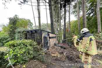 Vlammen vernielen tuinhuisje