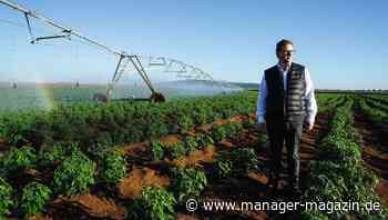 Amatheon Agri: Der Feldversuch auf der ehemaligen Farm von Lars Windhorst in Sambia
