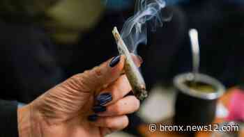 Pleasantville taking 'wait and see' approach to the retail sale of marijuana, on-site consumption lounges - News 12 Bronx