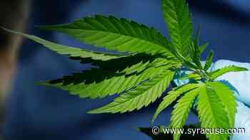 1 Syracuse-area village says no to retail pot sales, while another says yes - syracuse.com