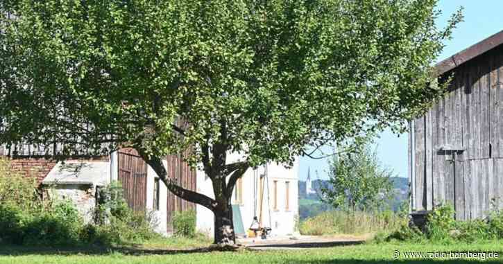 Mutmaßliche «Querdenker»- Schule: Stiftungsexistenz unklar
