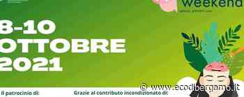 Disturbi alimentari e dell'umore, affettività: consulenze e incontri gratuiti - L'Eco di Bergamo