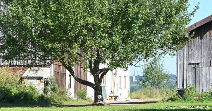 «Querdenker»-Schule: Existenz von Stiftung unklar