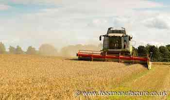 Government to pave the way for gene editing