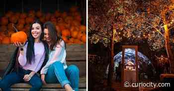 30 of the best things to do in and around Calgary this October - Curiocity