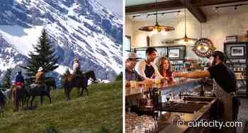 10 country trips around Calgary you need to take this fall - Curiocity