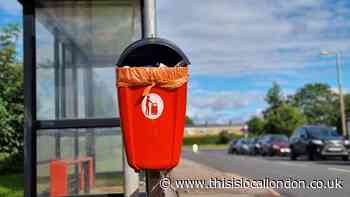 Harlow Council seek resident opinion on litter bins