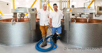 Cheese Making at Jasper Hill Farm Gets a French Advantage - The New York Times