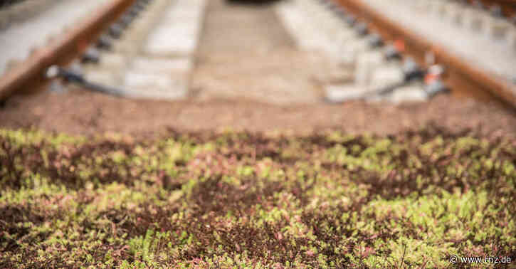 Mannheim:  Ab Montag rollt auf der Linie 1 wieder durchgängig die Straßenbahn
