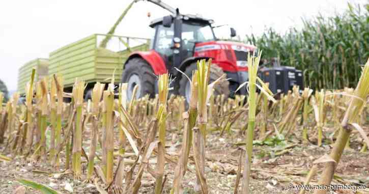 Trockenster September seit 15 Jahren
