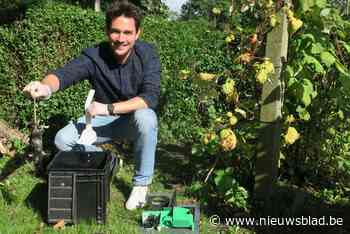 Slimme rattenval zonder gif verovert Voorkempen