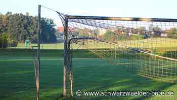 Große Pläne: Aufbruch beim VfL Hochdorf