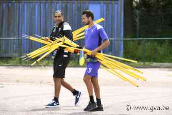 Mo Messoudi wordt assistent-trainer bij Westerlo - Gazet van Antwerpen