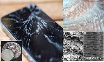 Scientists develop unbreakable glass inspired by seashells