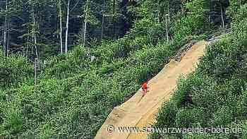 Hangsicherung in Höfen ist abgeschlossen: Es muss nur noch eingesät werden