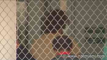 Accused White Supremacist Sentenced to Prison on Firearms Offenses