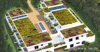 Bezahlbare Mietwohnungen entstehen im Wald in Verl: So könnten sie aussehen - Neue Westfälische