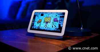 Best smart displays of 2021     - CNET