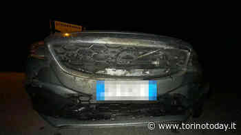 A Chieri niente solidarietà dopo l'incidente: auto urta un cinghiale e resta distrutta, un altro automobilista si ferma si porta via la carcassa - TorinoToday