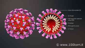 Covid, asl To 5. Contagi stabili a Chieri e Nichelino, sale Moncalieri e si impenna Carmagnola - CentoTorri