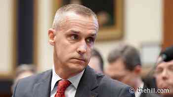 GOP donor accuses Trump aide Lewandowski of unwanted sexual advances: report