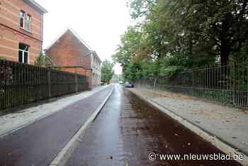 Restauratie hekwerk volgt na heraanleg Dr. Theo Tutsstraat